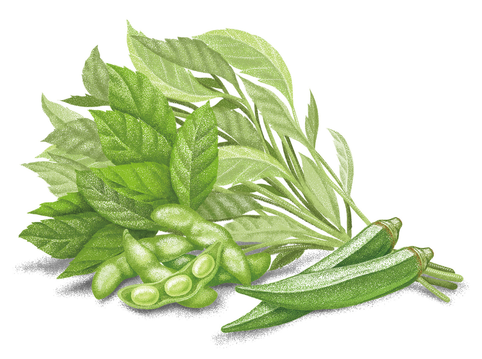今が旬の、免疫力向上野菜。