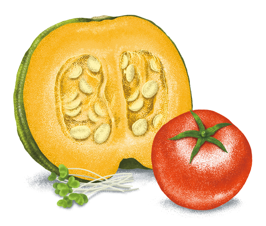 日々のストレスに効く抗酸化野菜