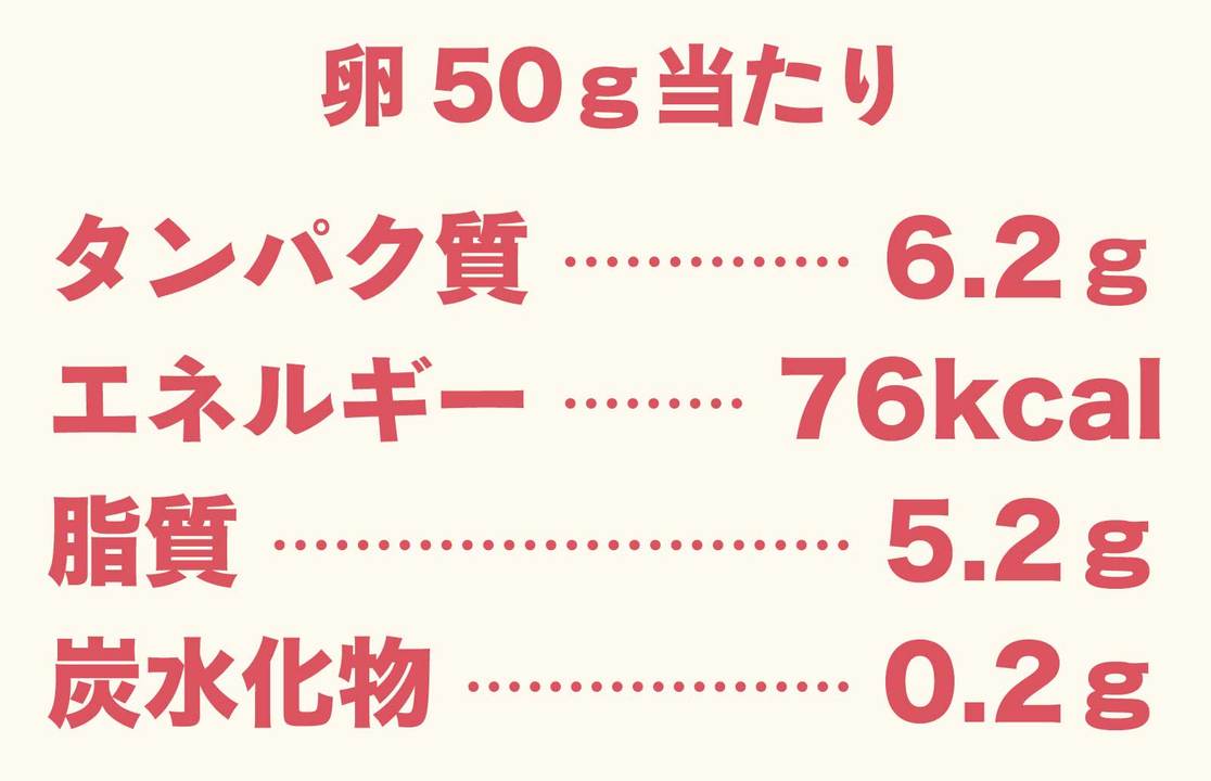 卵の栄養成分