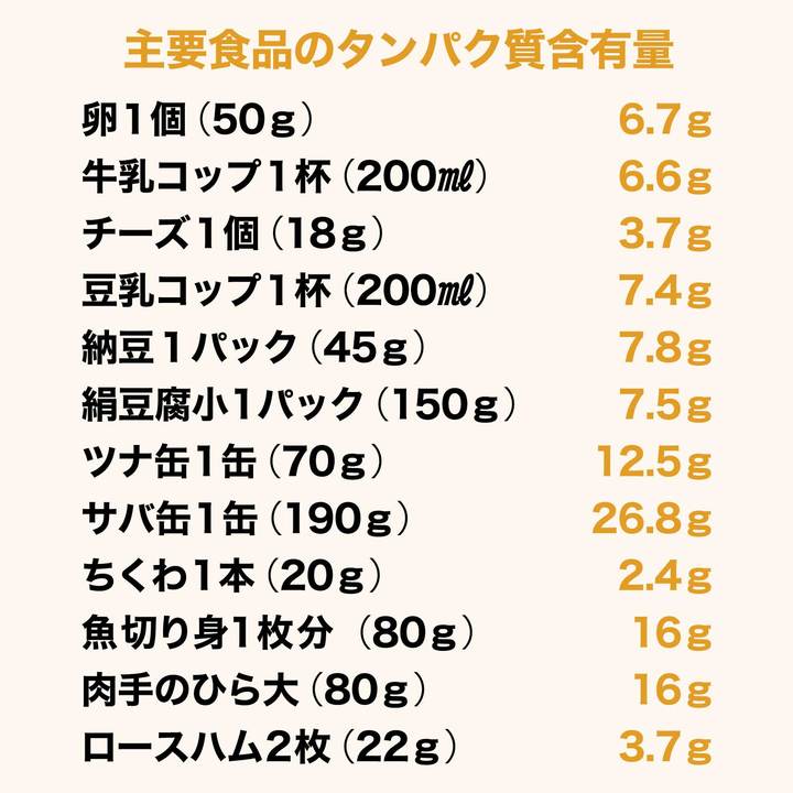 主要食品のタンパク質含有量