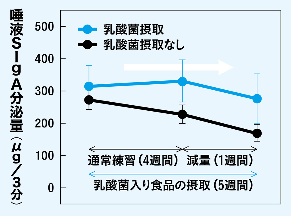 乳酸菌が運動による粘膜免疫低下を抑制