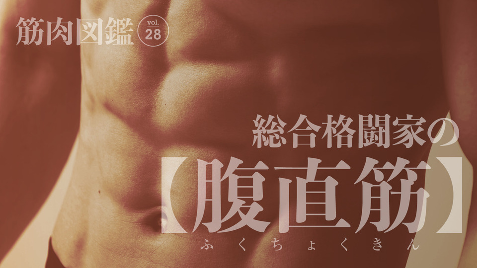 総合格闘家・矢地祐介