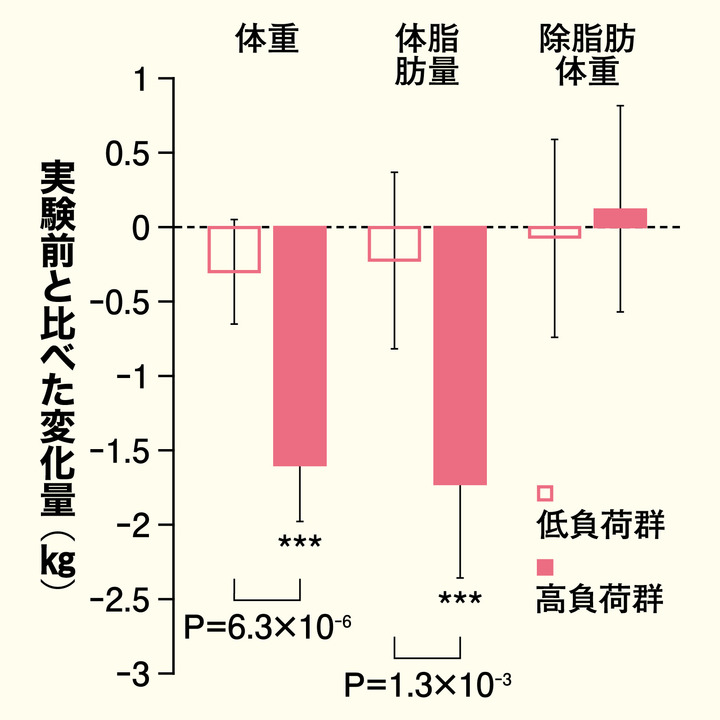 1日8時間重たい ベストを着ると痩せられる