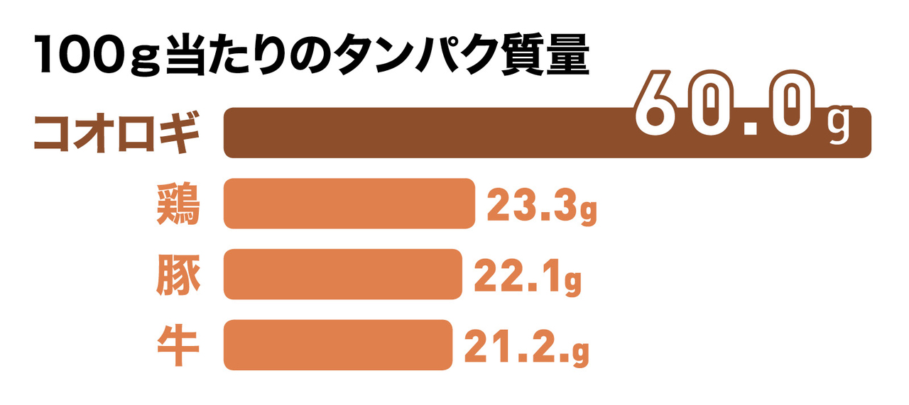 コオロギ100g当たりのタンパク質量