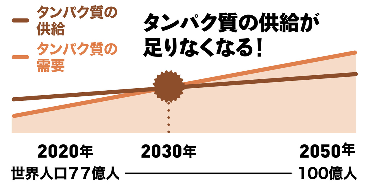 タンパク質の需要と供給