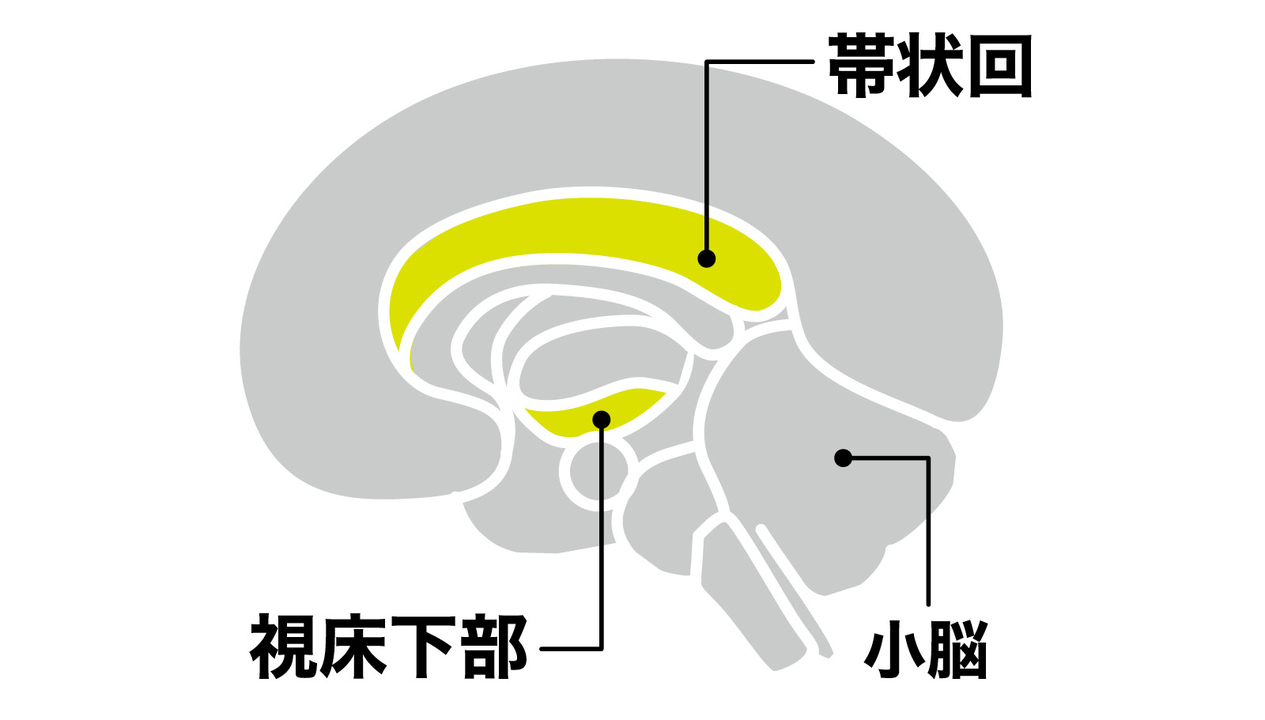 梶本修身