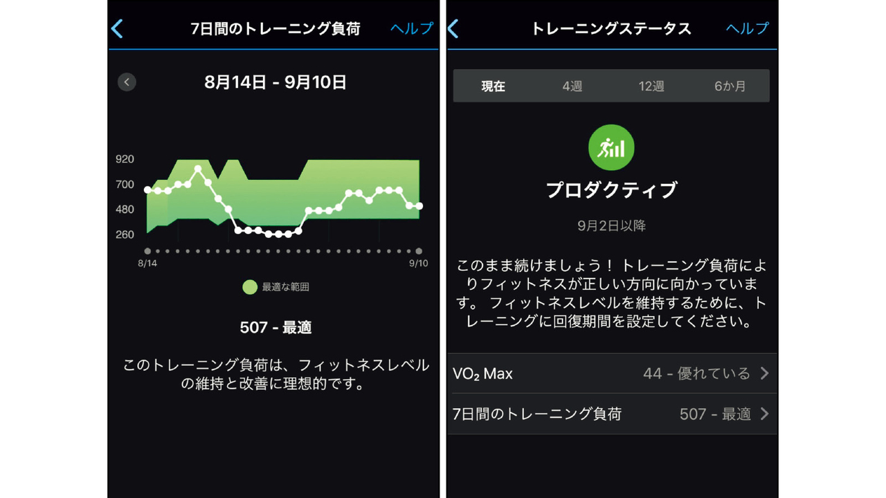 トレーニングステータス