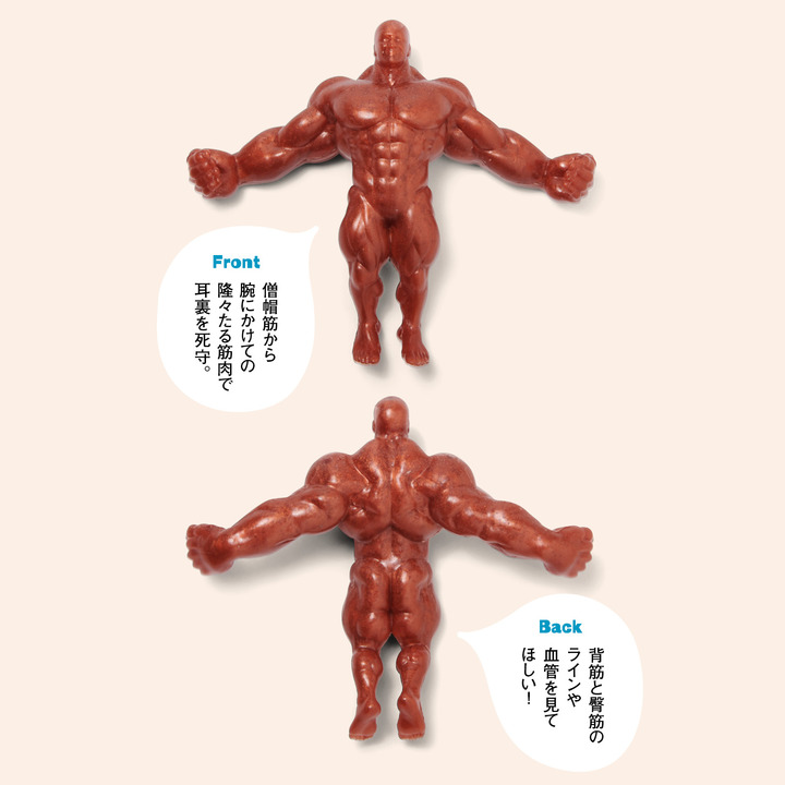 耳を守りマッチョ 製品画像