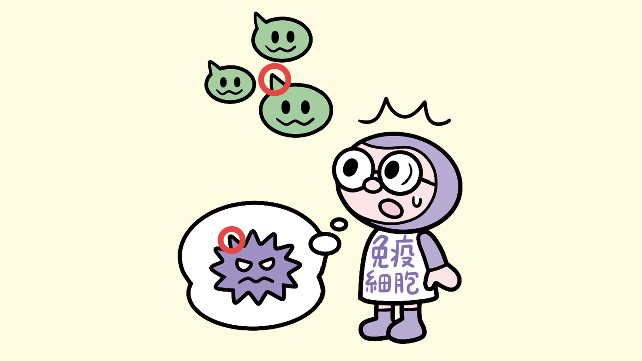 一部の病原体の構造とやや似ているパラミロンが、免疫細胞に作用する