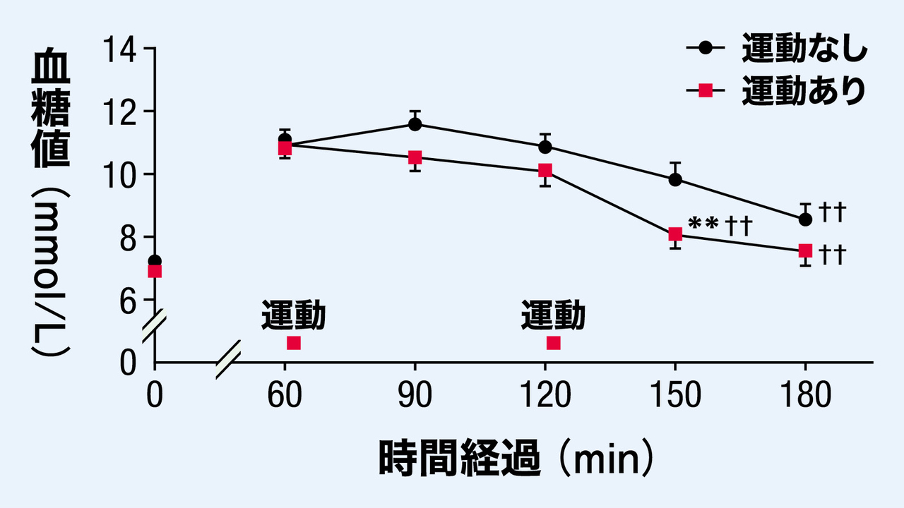 運動と血糖値の関係
