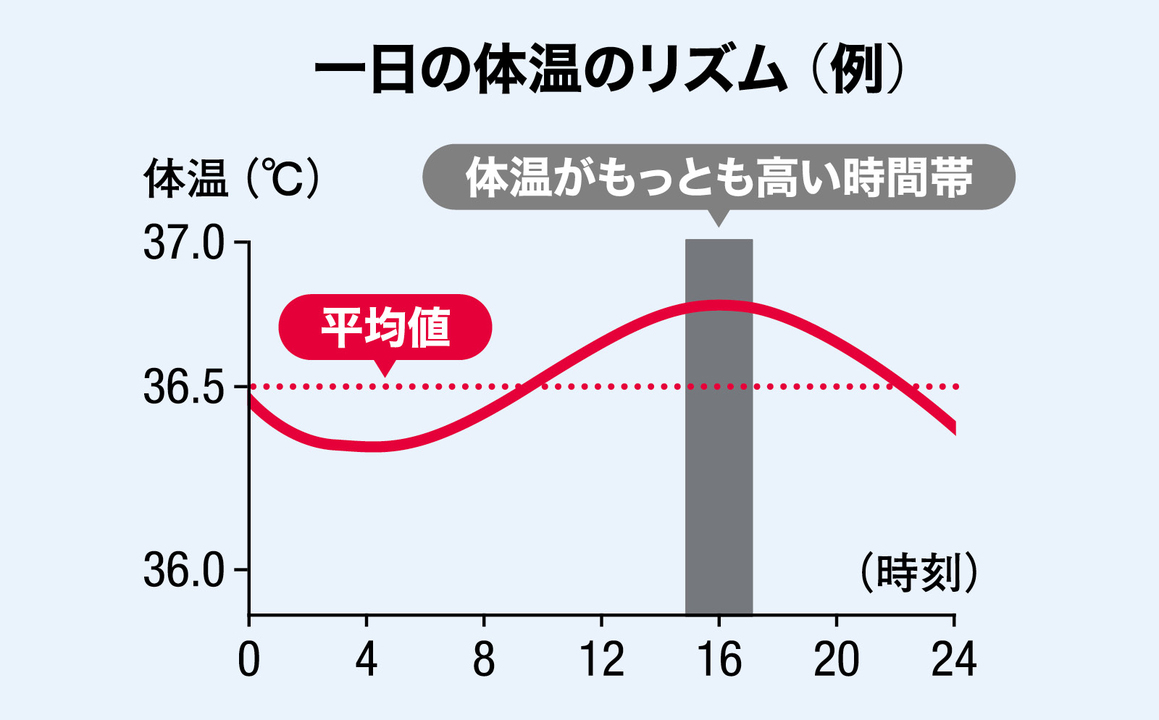 1日の体温リズム