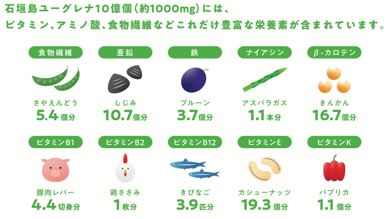 ユーグレナの栄養素