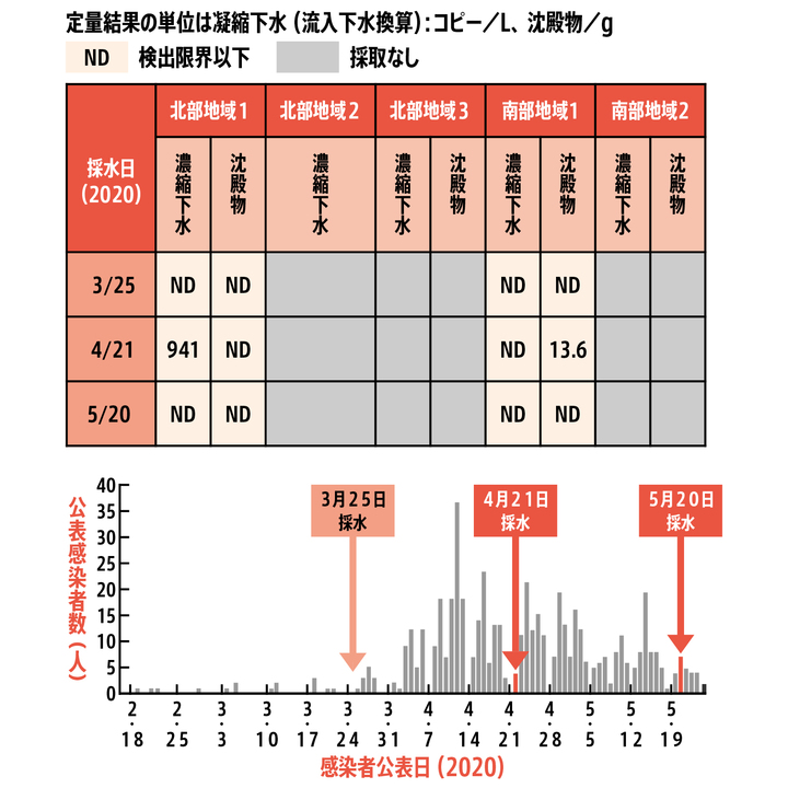 下水から検出される新型コロナウイルス。