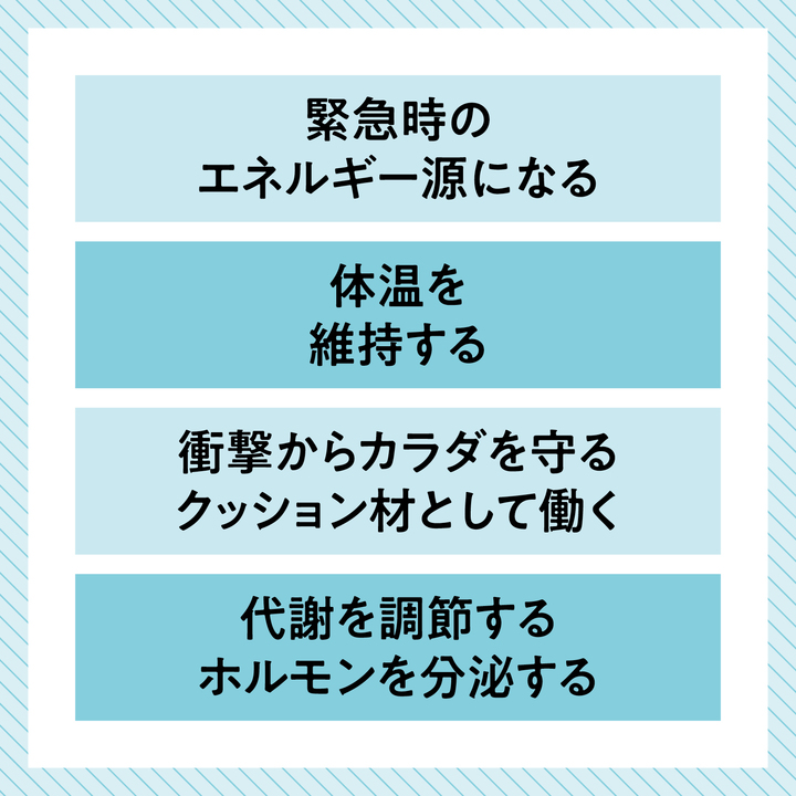 適正量の体脂肪が果たす役割