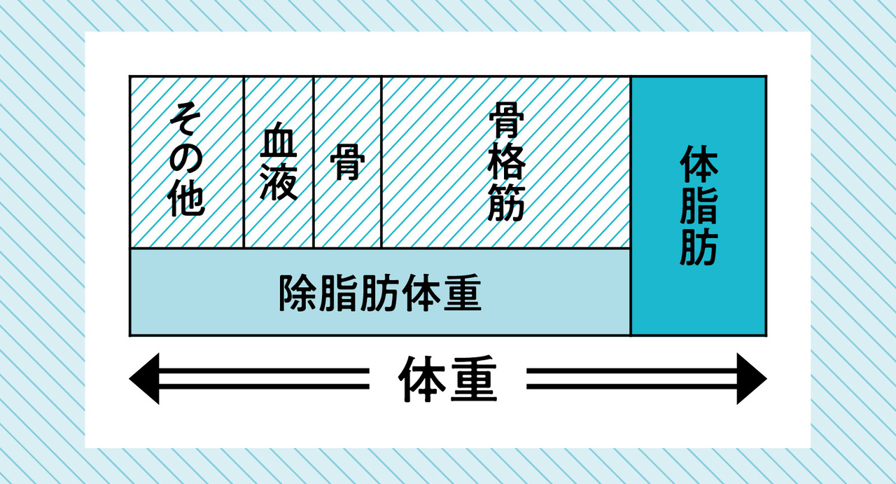 カラダの組成成分のトータルの重さが体重。