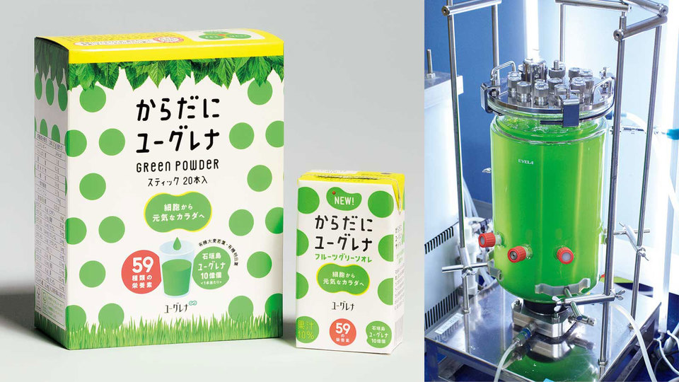 高栄養価で注目されるユーグレナ