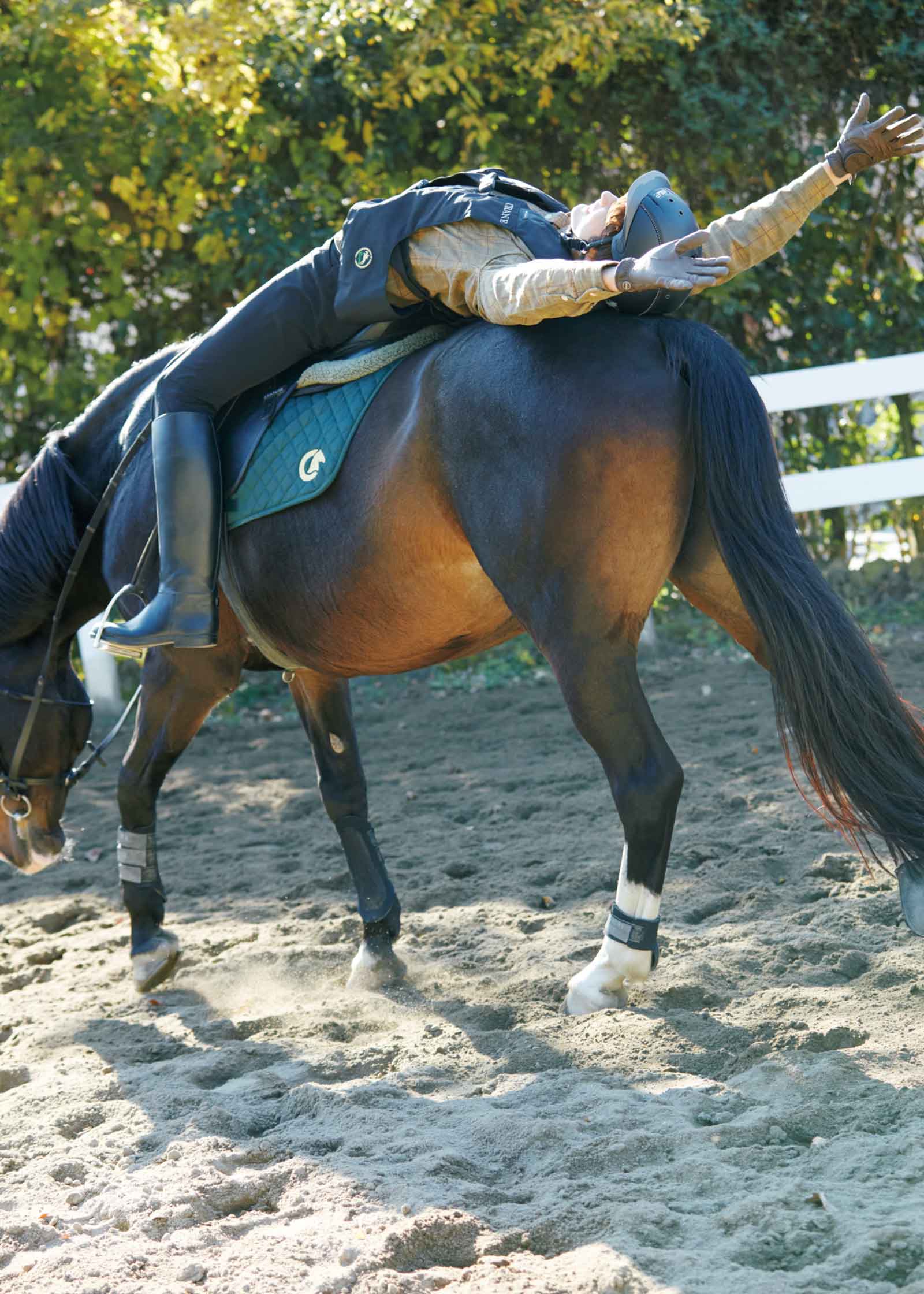 常歩中に、背中の上に寝そべる馬上運動でストレッチ。