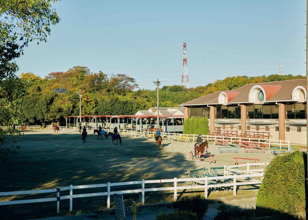 クレイン乗馬クラブ