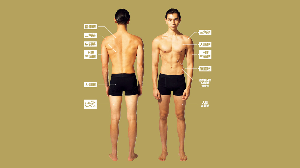 逆三角形に代わる黄金率ボディ 菱形体型 をつくる4つのポイント Tarzan Web ターザンウェブ