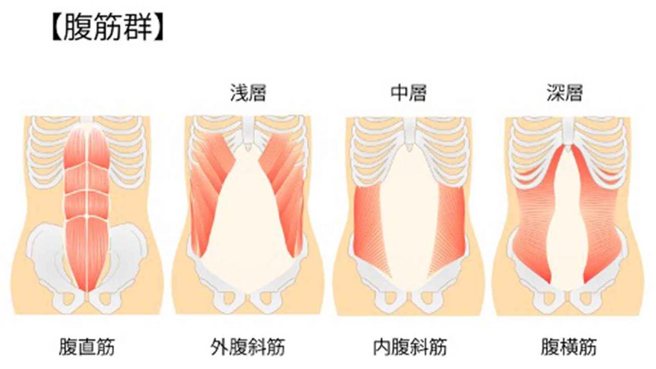 腹筋の種類