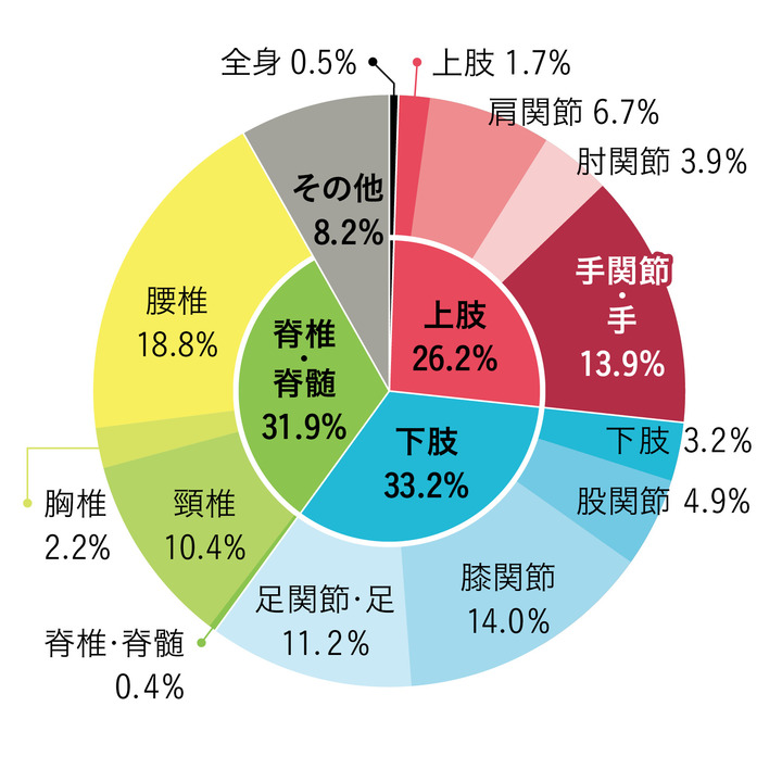 整形外科新患調査 2012概況報告