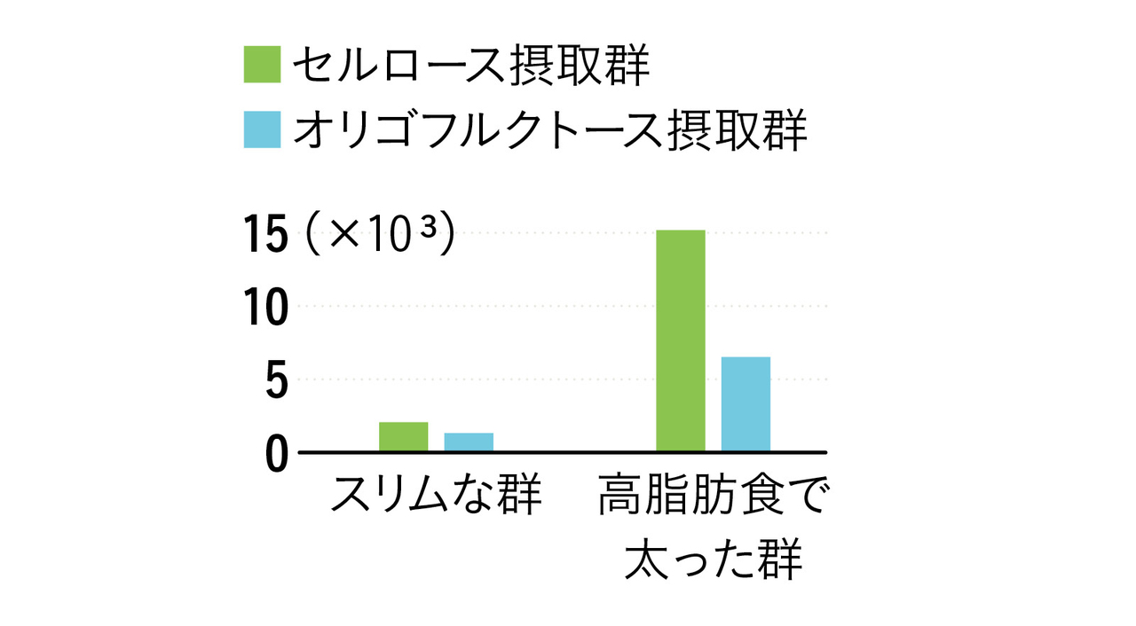 腸内環境と関節には免疫を介した関係がある