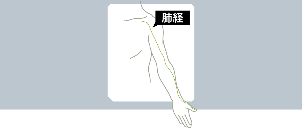 肺経
