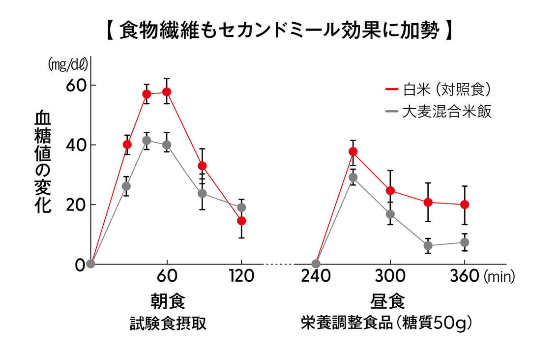 食物繊維もセカンドミール効果に加勢