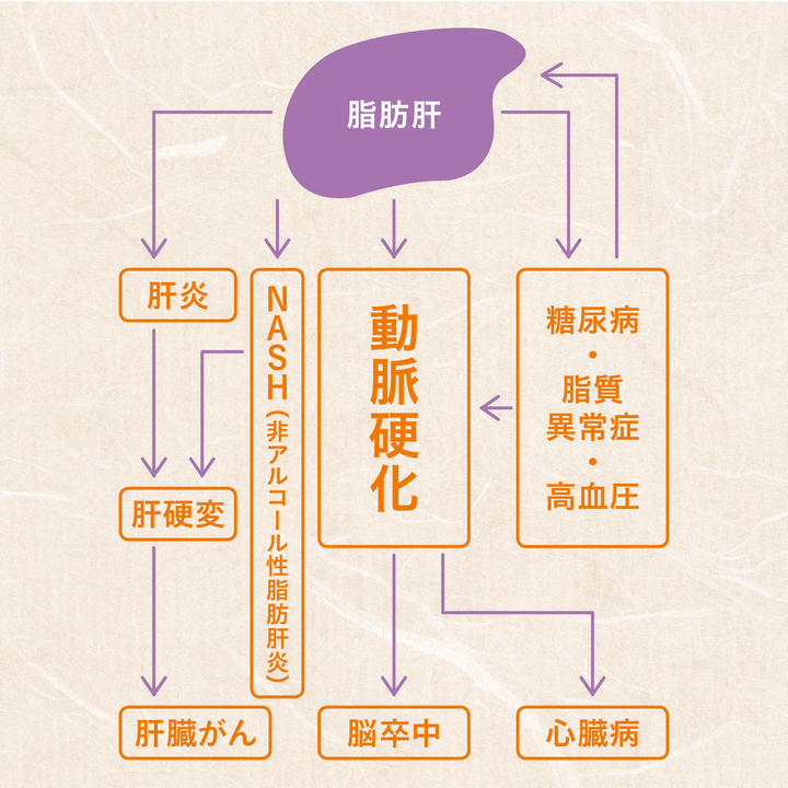 脂肪肝