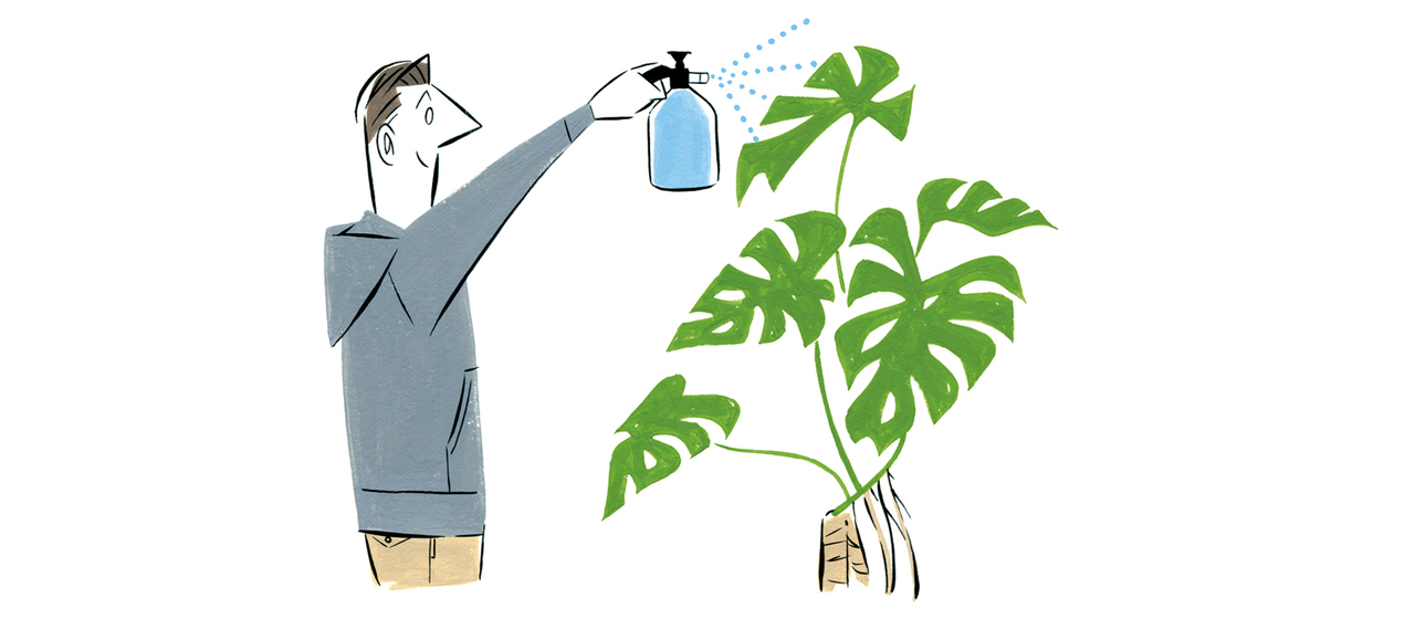 観葉植物の世話を日課にする