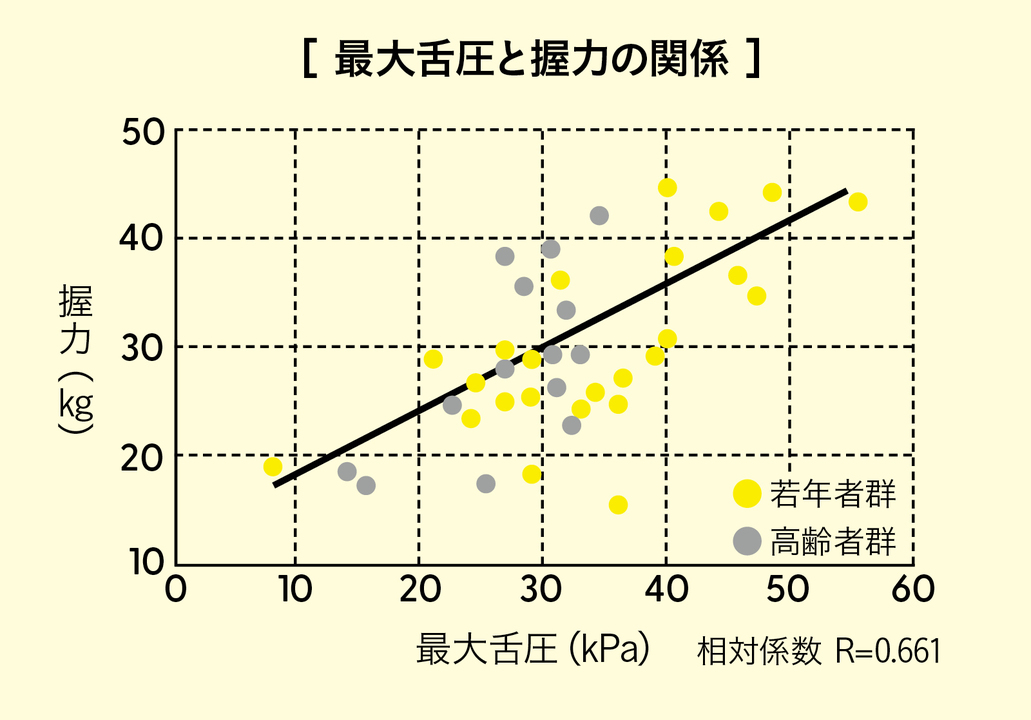 最大舌圧と握力の関係