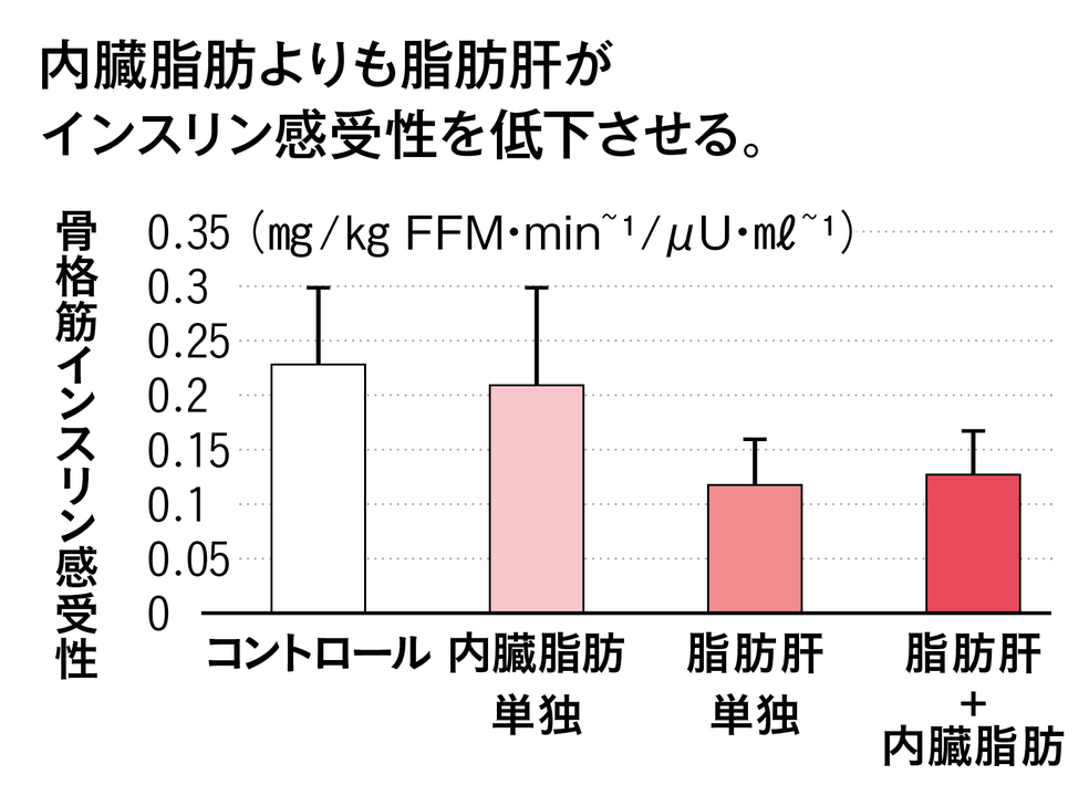 脂肪肝