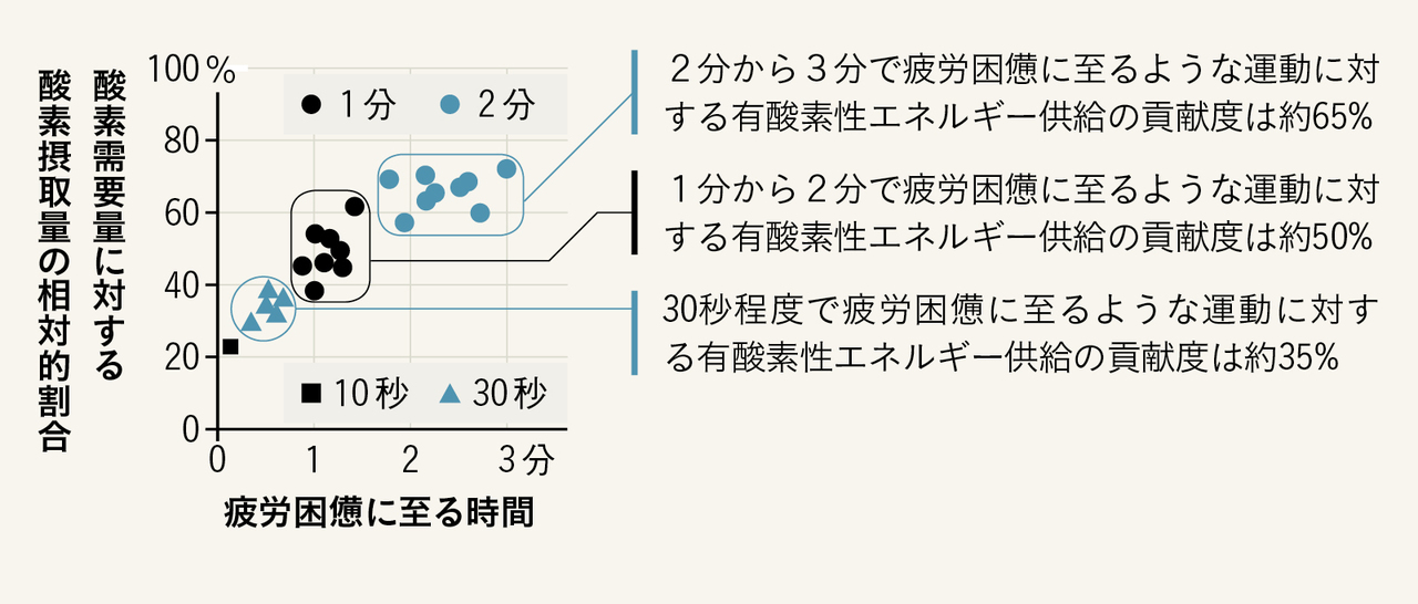 タバタトレーニング