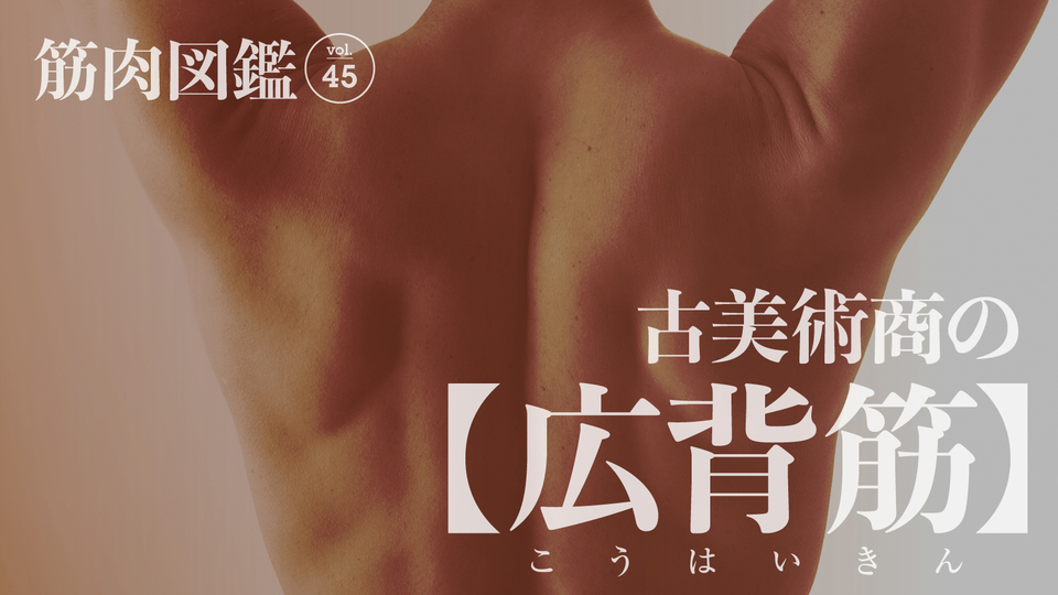 平野龍一