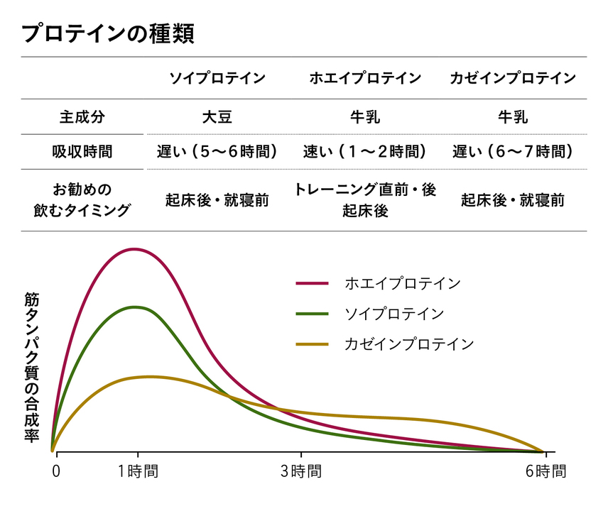 プロテインの種類