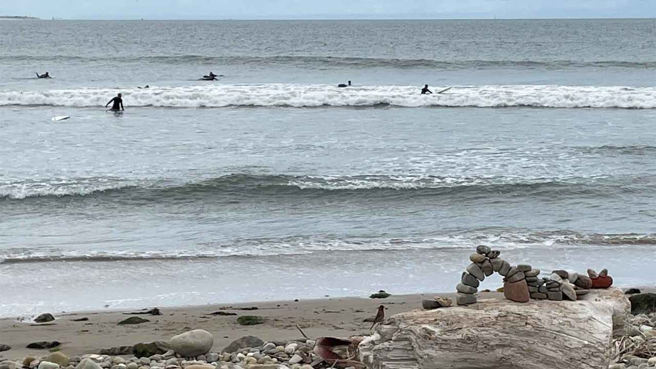 ヴェンチュラの浜辺