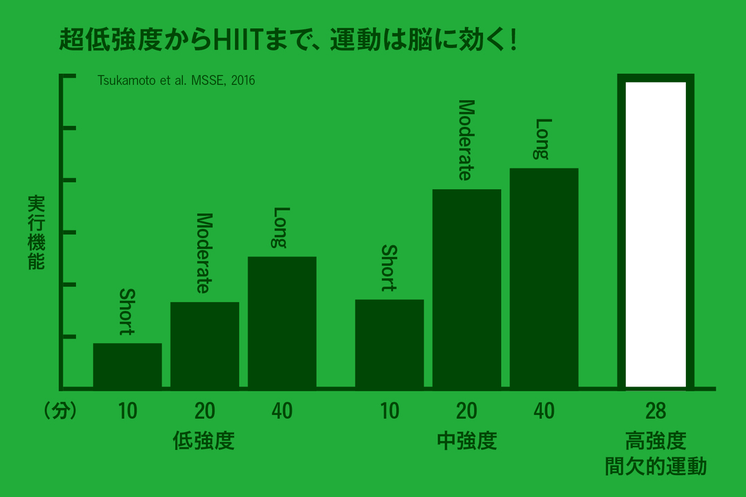 運動は脳に効く