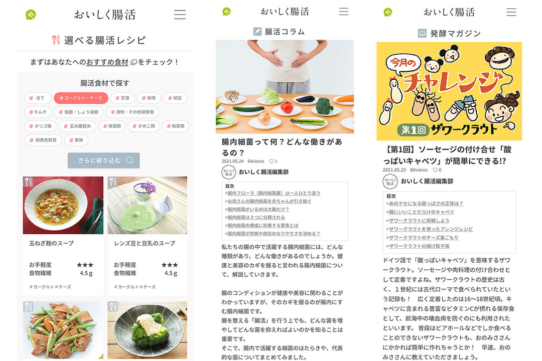 「おいしく腸活」基本的なサービス内容