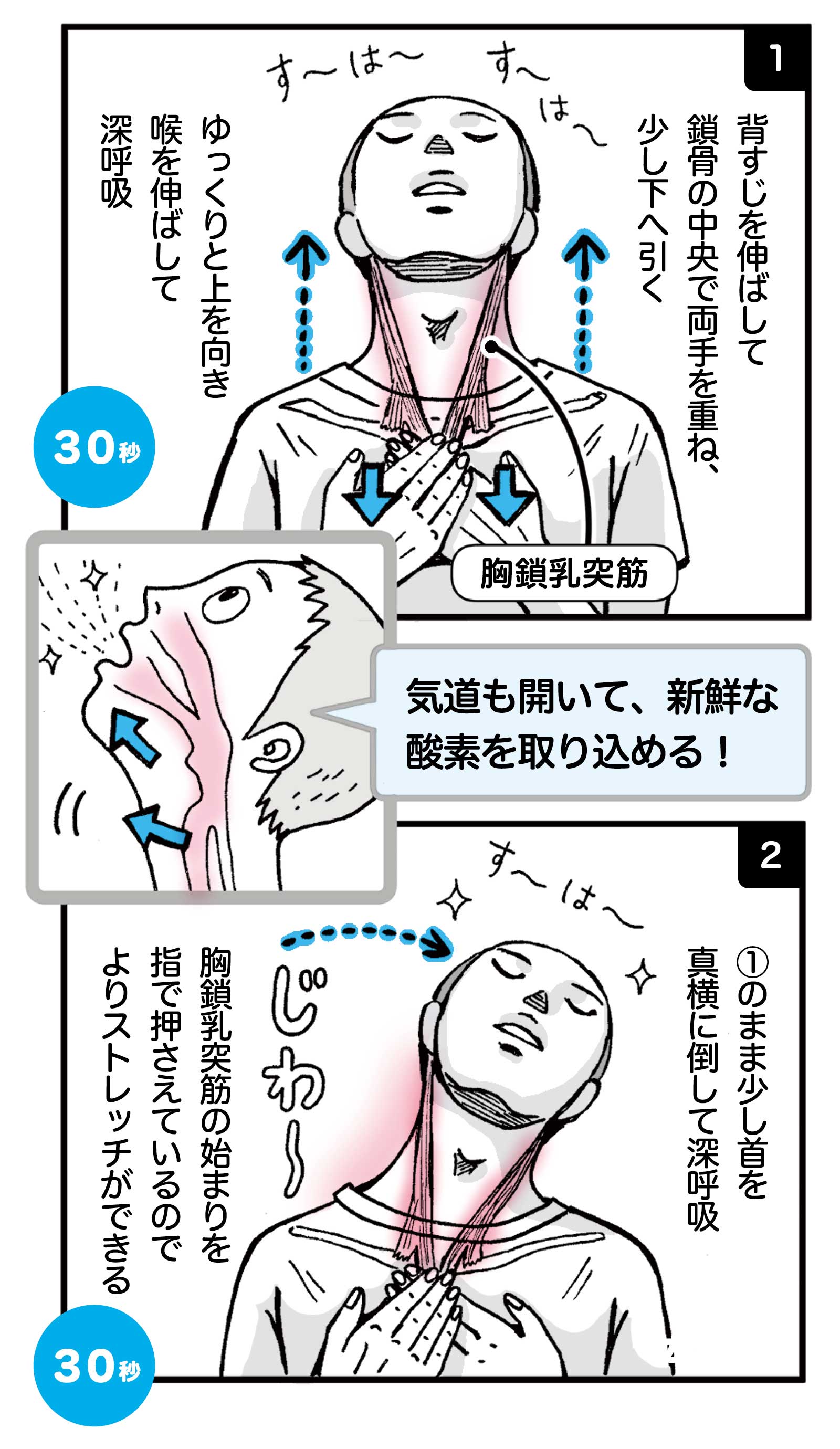 ストレスメンテ
