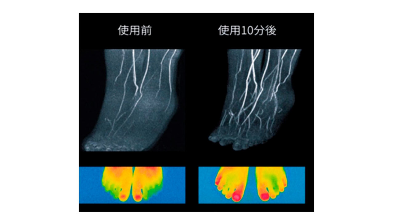TOMBO使用によるデータ画像