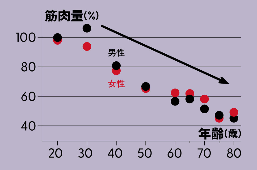 年齢による筋肉量の低下率