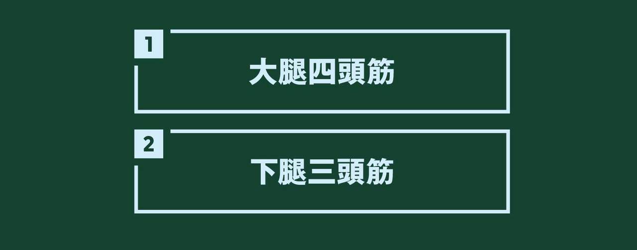 下半身の筋肉