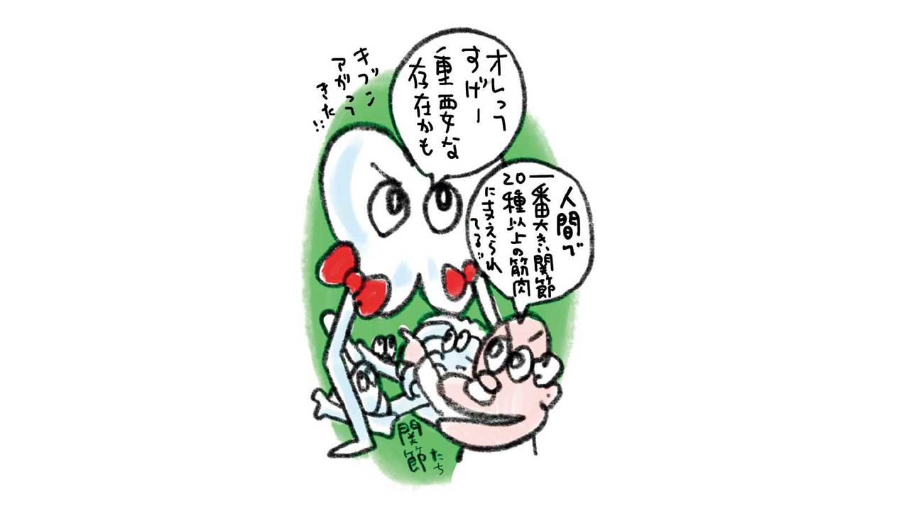 人体最大の関節