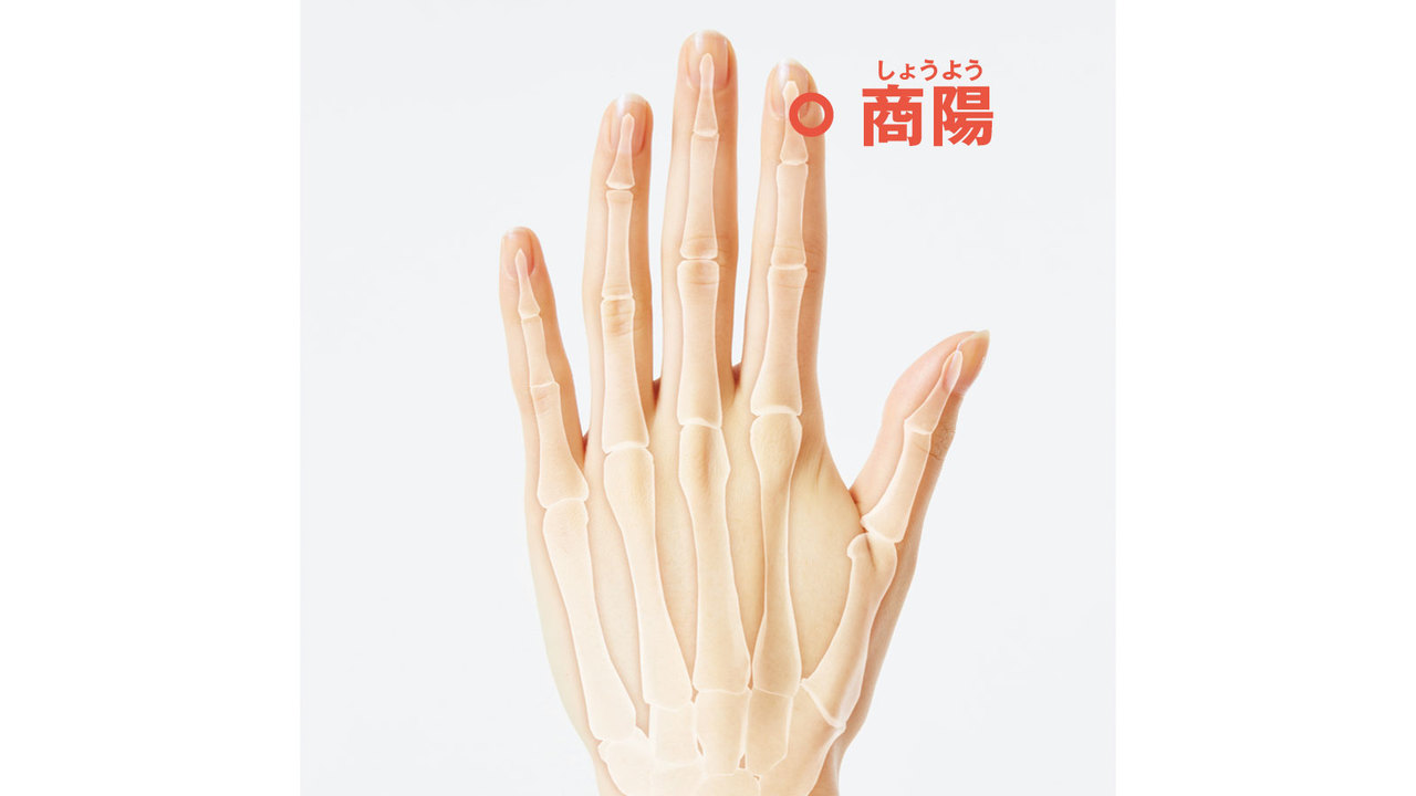 商陽
