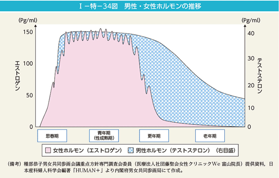 男性/女性ホルモンの推移