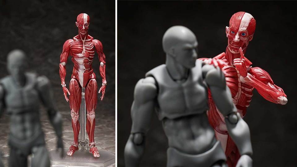 TZA_News_figma_main
