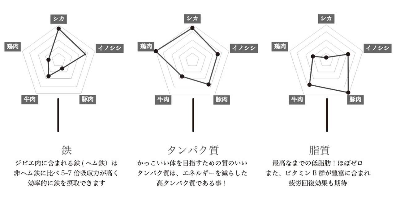 肉の栄養素比較のレーダーグラフ