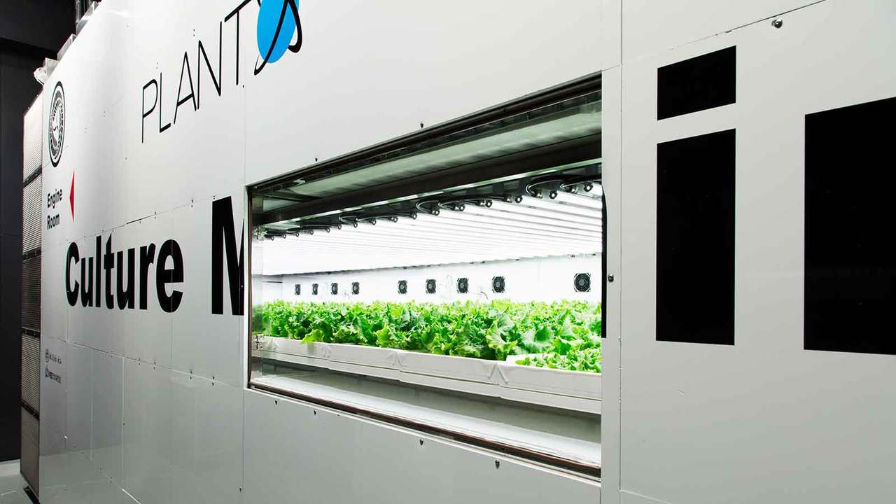 〈PLANTORY TOKYO〉の植物栽培装置の写真